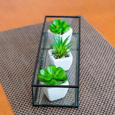 Apartamento And Nike *