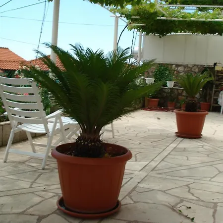 Apartamento And Nike