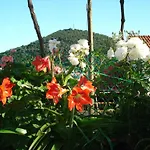 Apartman And Nike Dubrovnik