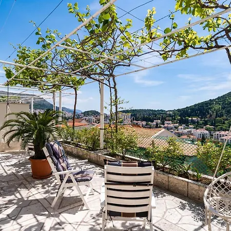 And Nike Дубровник