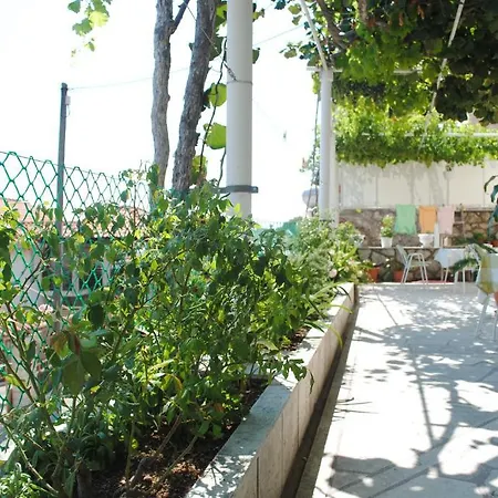 Апартаменты And Nike