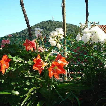 Апартаменты And Nike Дубровник