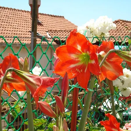 Апартаменты And Nike