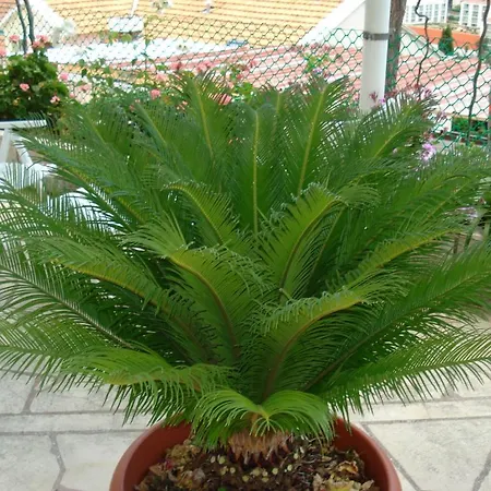 룸즈 앤 아파트먼트 나이키 아파트