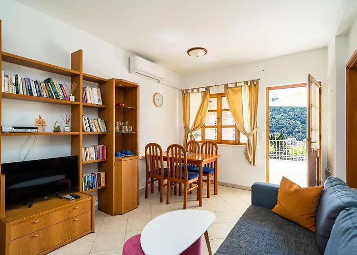 公寓 耐克客房及公寓 *