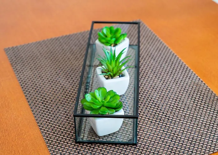 公寓 耐克客房及公寓 *