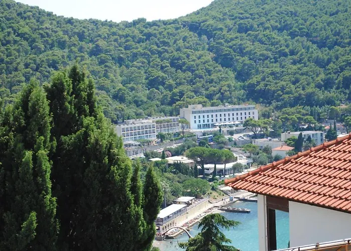 耐克客房及公寓 公寓