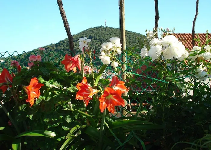 公寓 耐克客房及公寓 杜布罗夫尼克