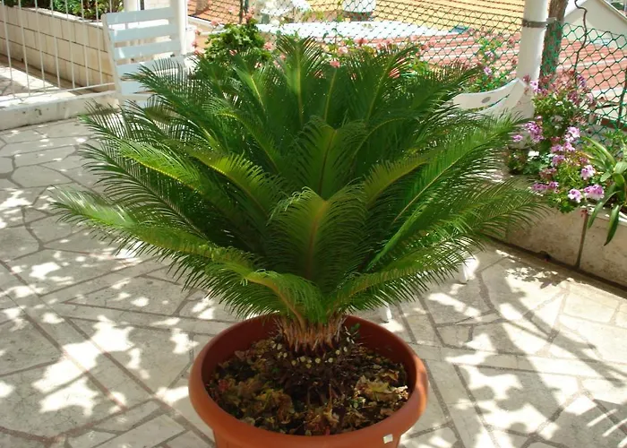 耐克客房及公寓 * 杜布罗夫尼克