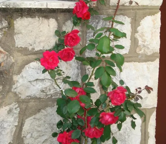 耐克客房及公寓