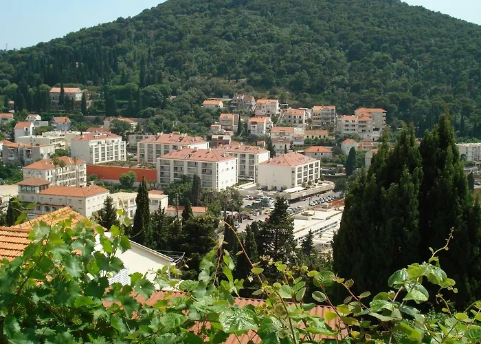 耐克客房及公寓 *