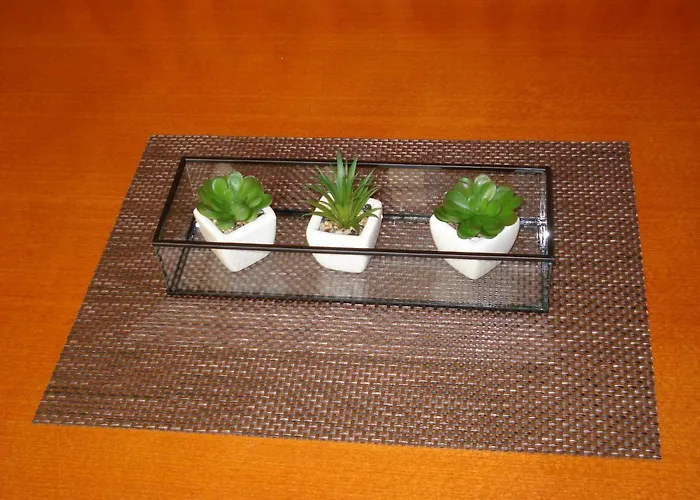 公寓 耐克客房及公寓 *