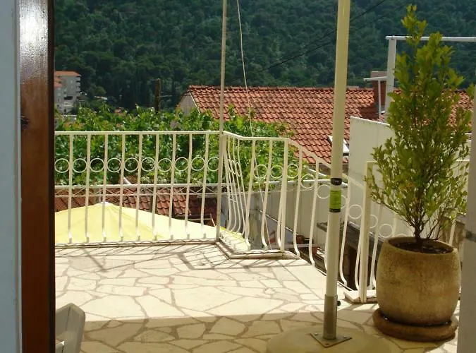 公寓 耐克客房及公寓 *